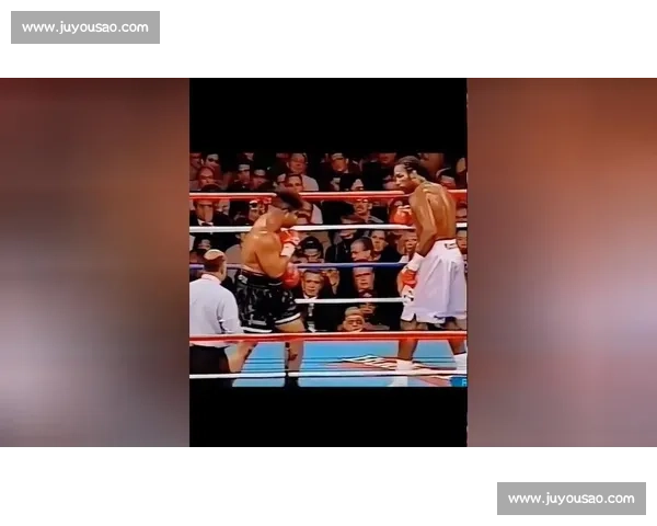 大卫图阿再战刘易斯二番战重量级王座风云回顾巅峰对决与时代意义解析