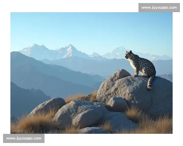 棕熊对决狼群生死博弈揭示自然法则与力量智慧的终极较量与生态真相